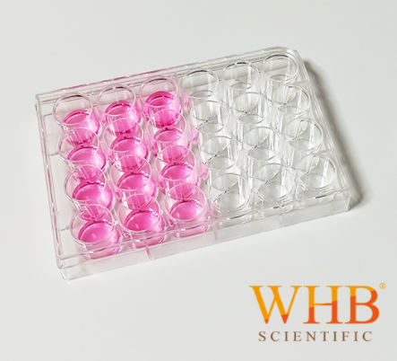 細(xì)胞培養(yǎng)板 Cell Culture Plates