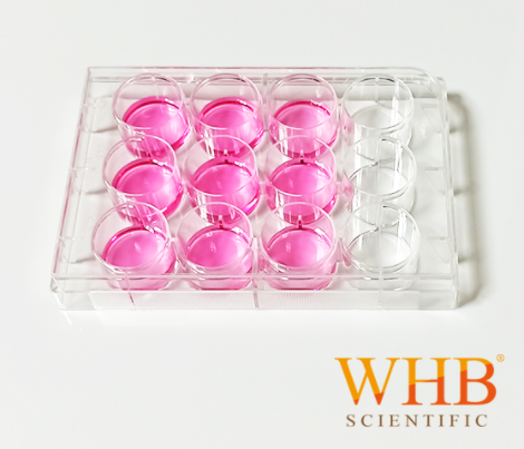 細(xì)胞培養(yǎng)板 Cell Culture Plates