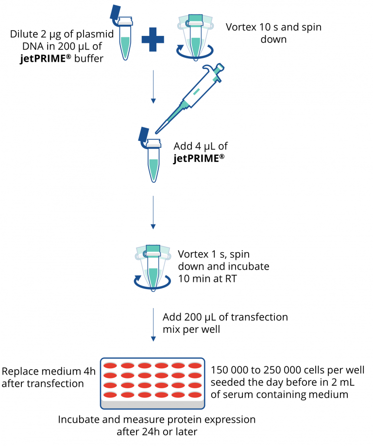 olyplus jetPRIME transfection reagent（101000046）圖五.png